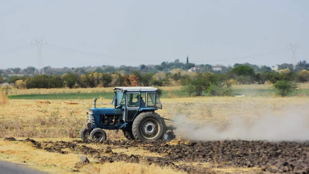 LLUVIAS ATIPICAS FAVORECEN AL CAMPO (1)